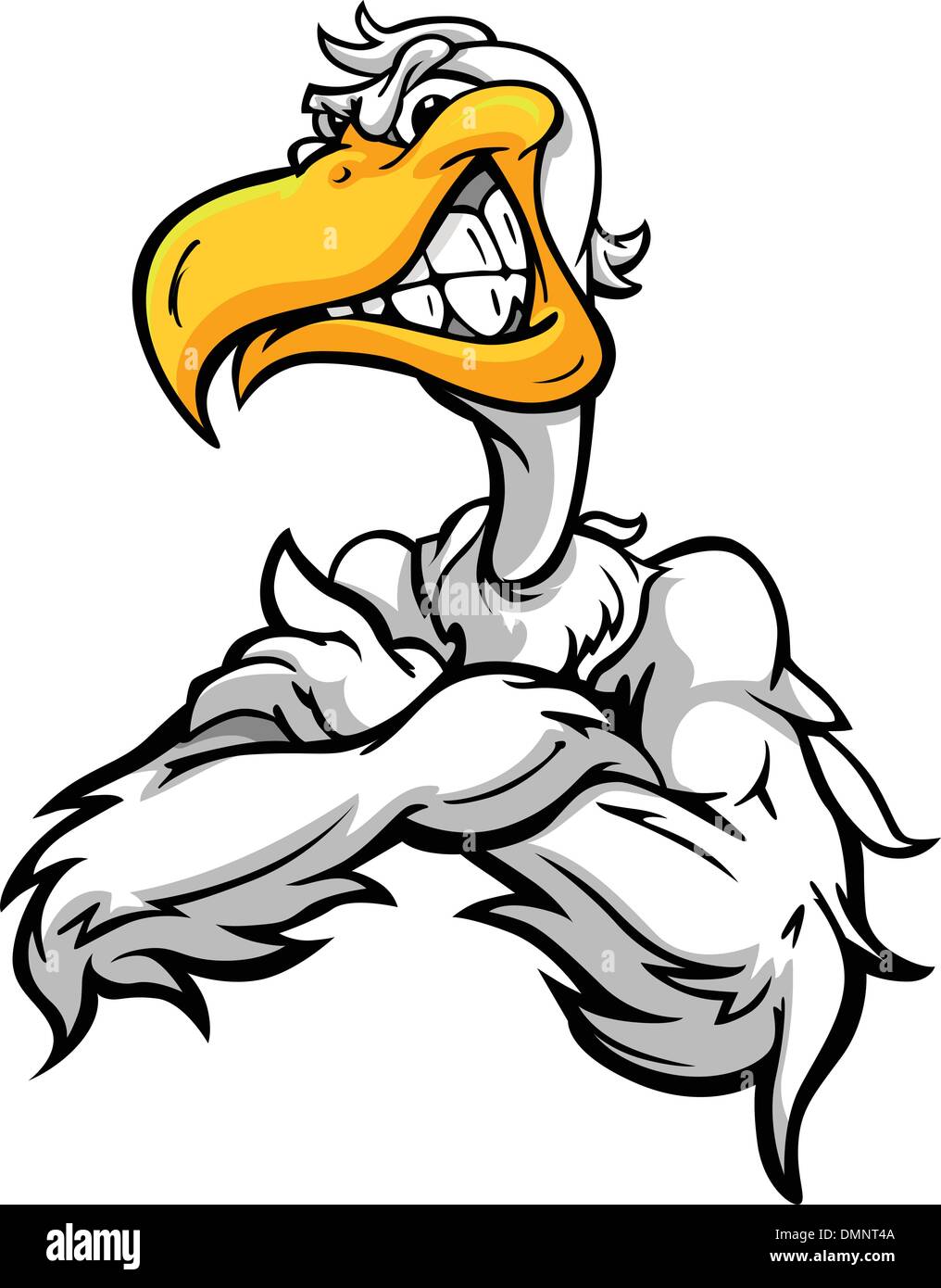 Pelican cartoon hi-res stock photography and images - Alamy Pelican cartoon hi-res stock photography and images - Alamy