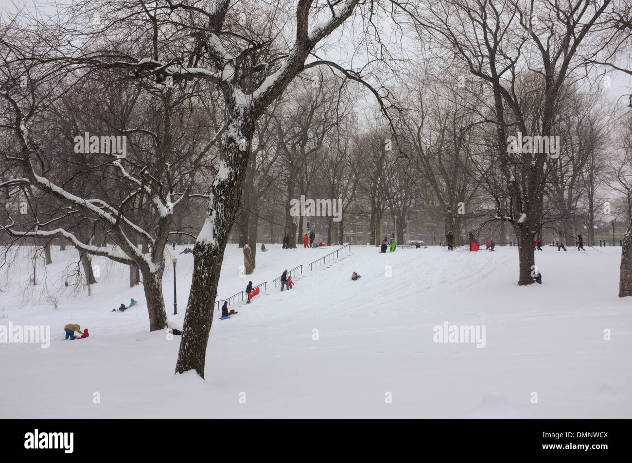 Children sledding at Parc Lafontaine in Montreal, Quebec Stock Photo