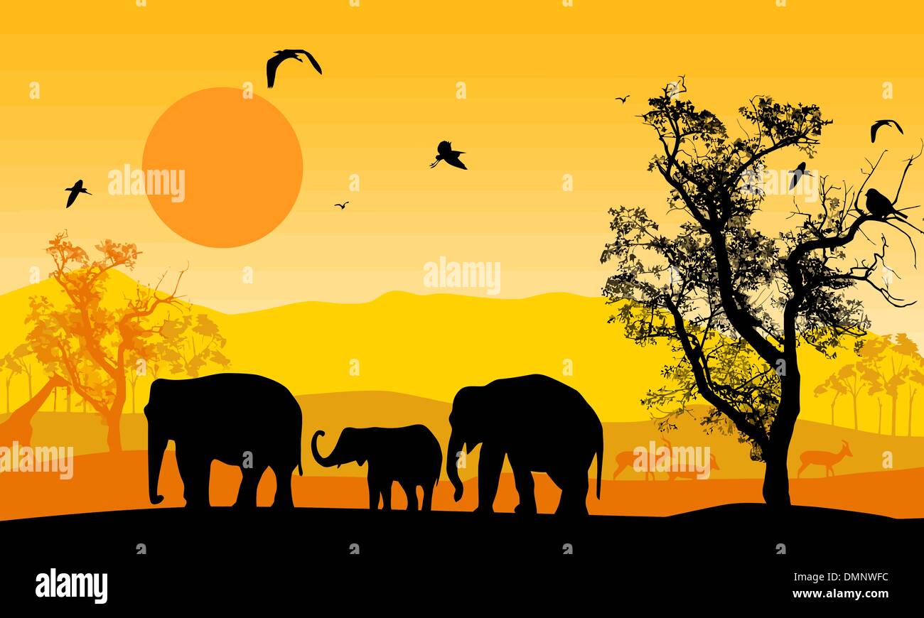African wildlife at sunset Stock Vector