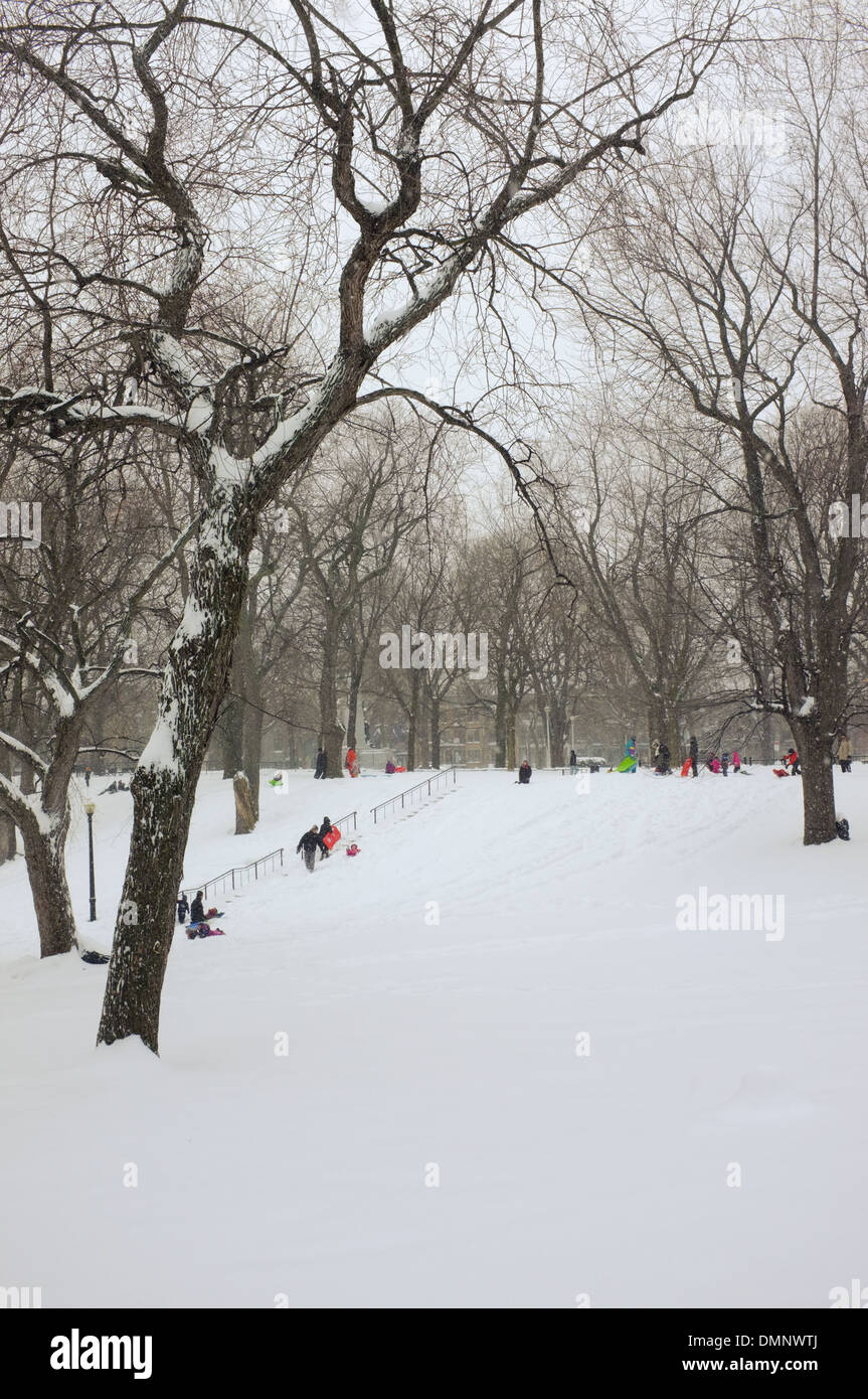 Children sledding at Parc Lafontaine in Montreal, Quebec Stock Photo