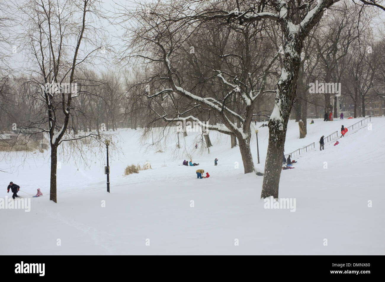 Children sledding at Parc Lafontaine in Montreal, Quebec Stock Photo