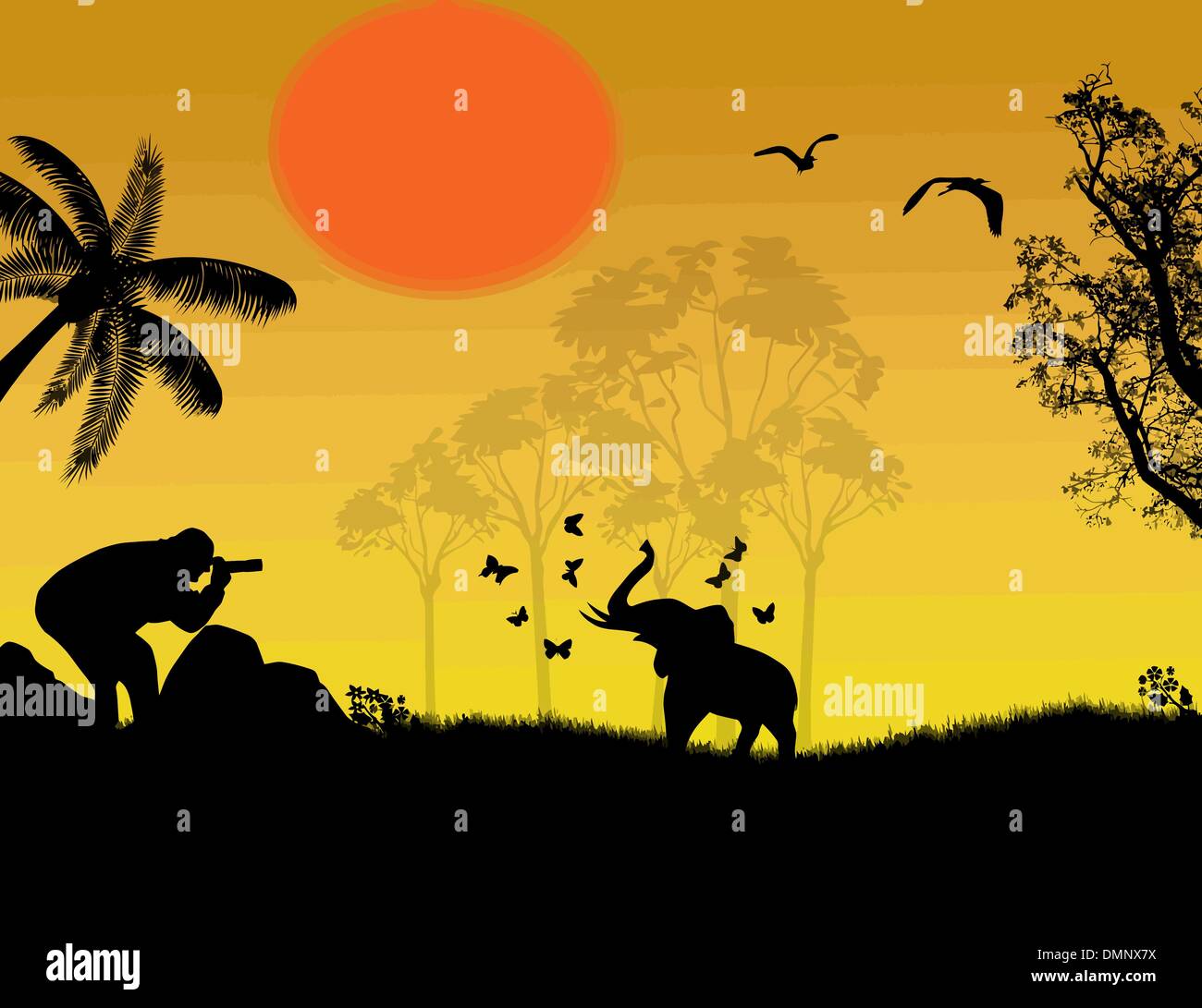 Photographer at sunset shoot a baby elephant Stock Vector