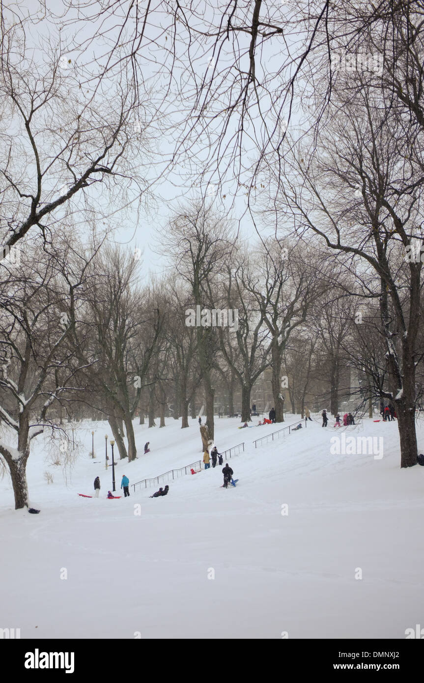 Children sledding at Parc Lafontaine in Montreal, Quebec Stock Photo
