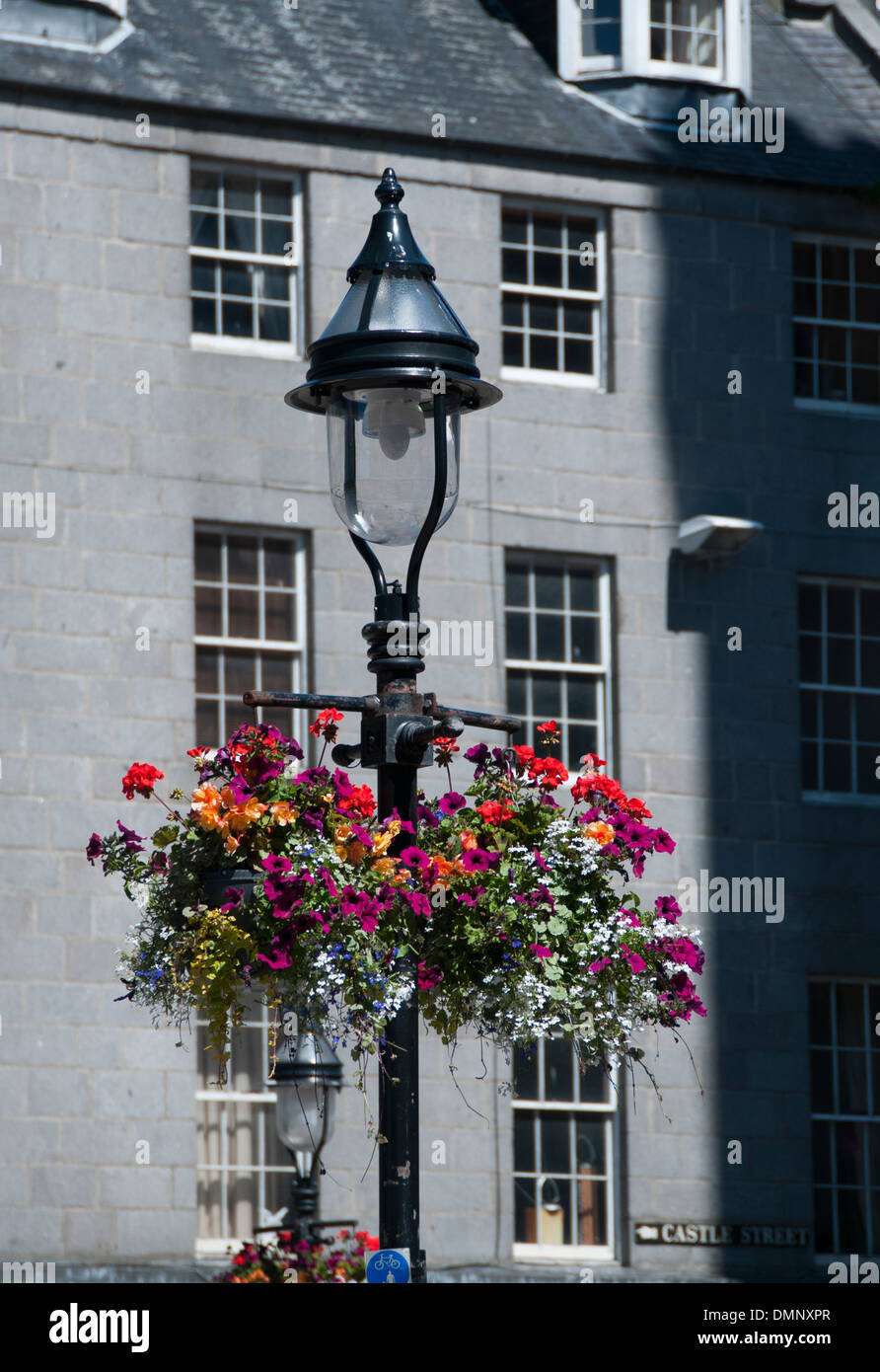 britain in bloom victorian plants flowers potted Stock Photo Alamy