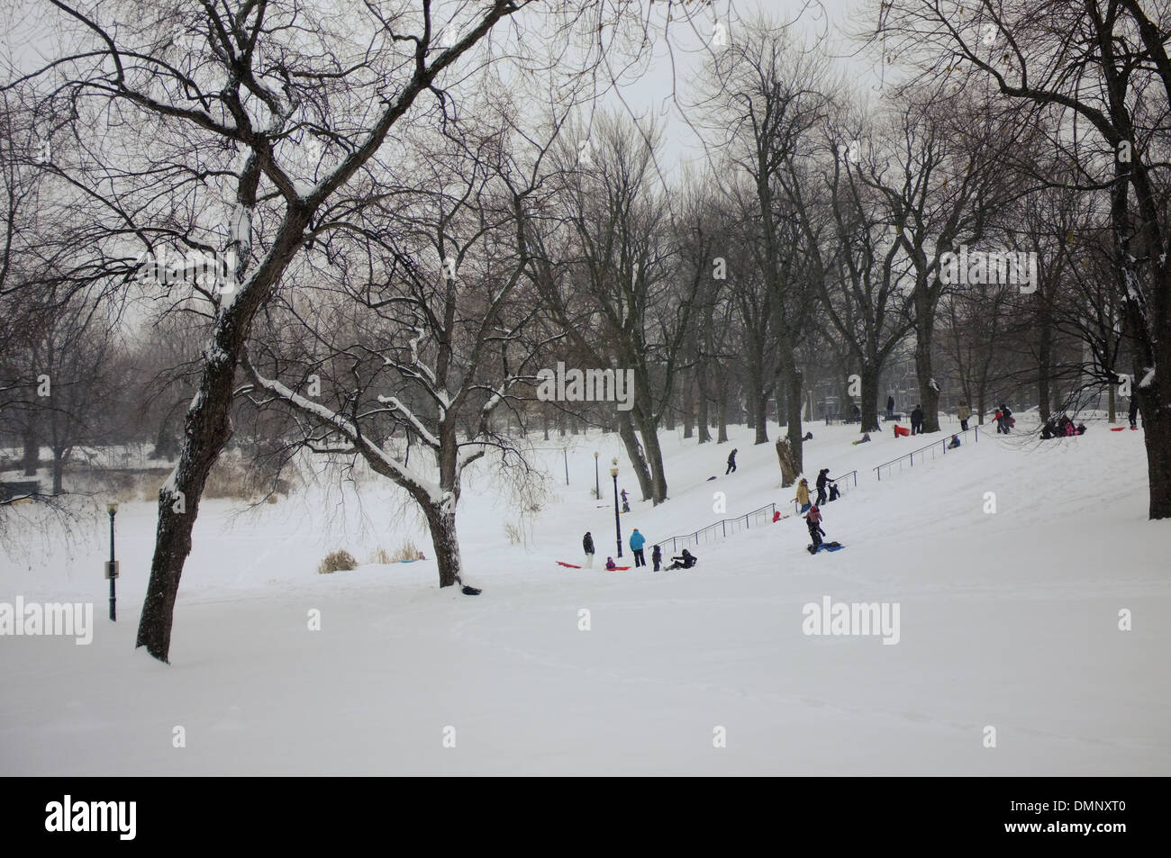 Children sledding at Parc Lafontaine in Montreal, Quebec Stock Photo