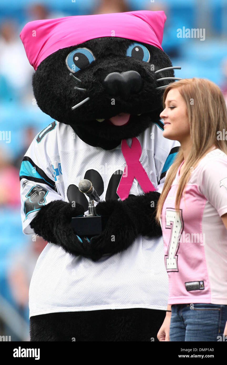 Oct. 13, 2009 - Charlotte, North Carolina, U.S - October 11, 2009: Carolina Panther mascot Sir Purr gives an award to Alicia Puckett.  The Carolina Panthers defeated the Washington Redskins 20-17 at Bank of America Stadium in Charlotte, North Carolina. (Credit Image: © Margaret Bowles/Southcreek Global/ZUMApress.com) Stock Photo