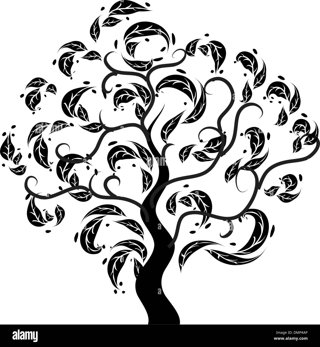 Very old tree Black and White Stock Photos & Images - Alamy