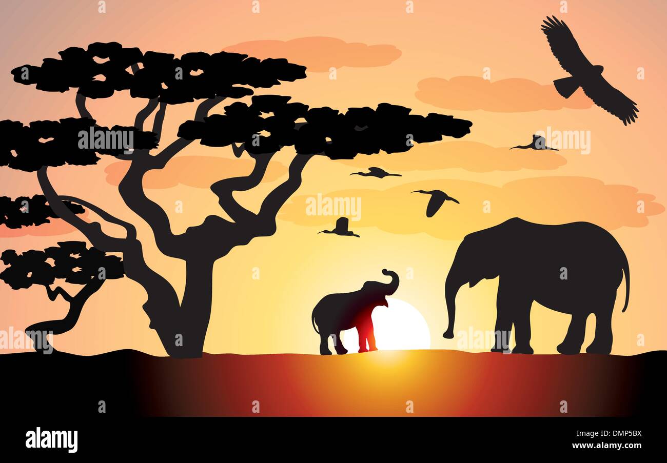 vector elephants in africa Stock Vector Image & Art Alamy