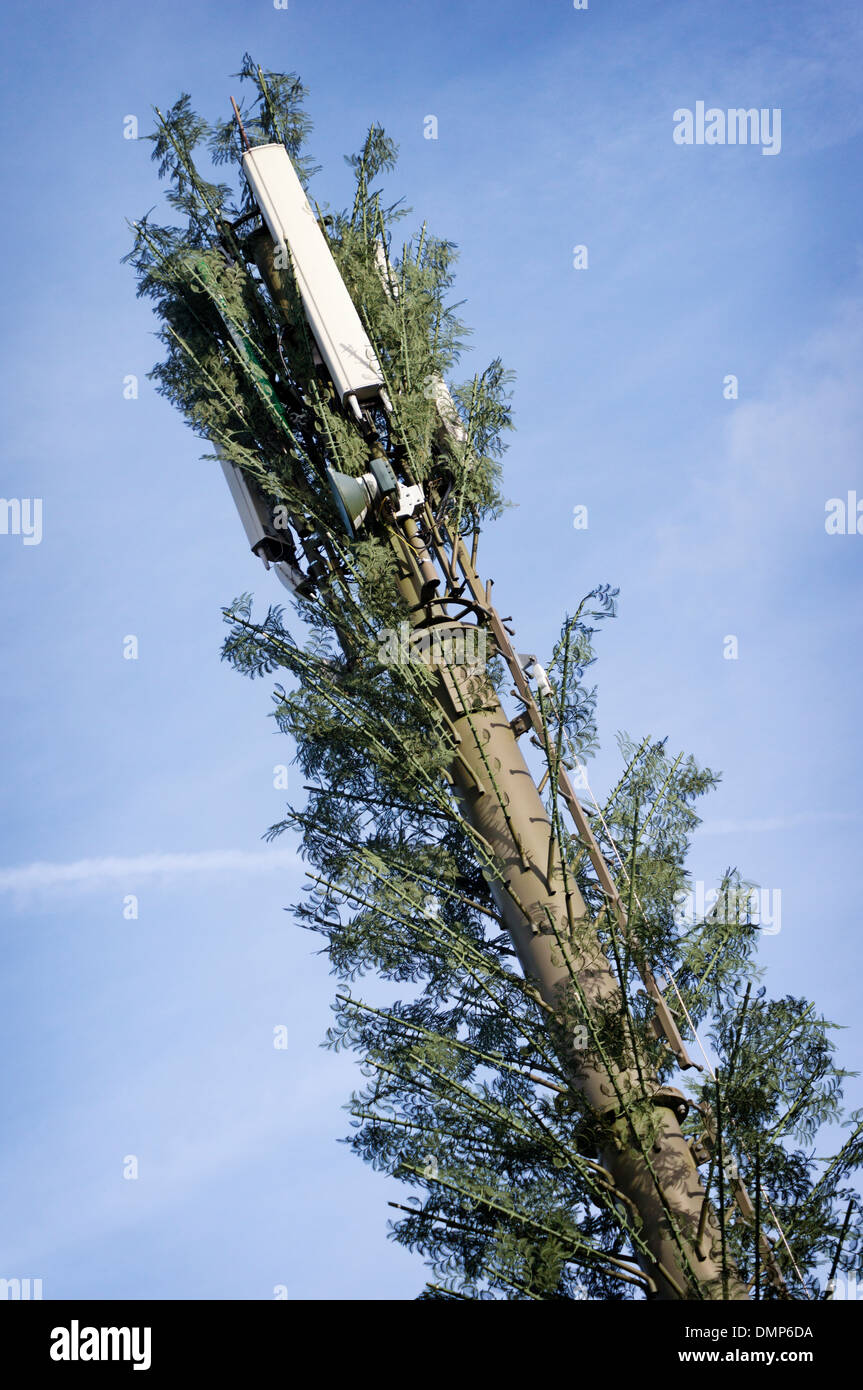 Antenna tree hires stock photography and images Alamy