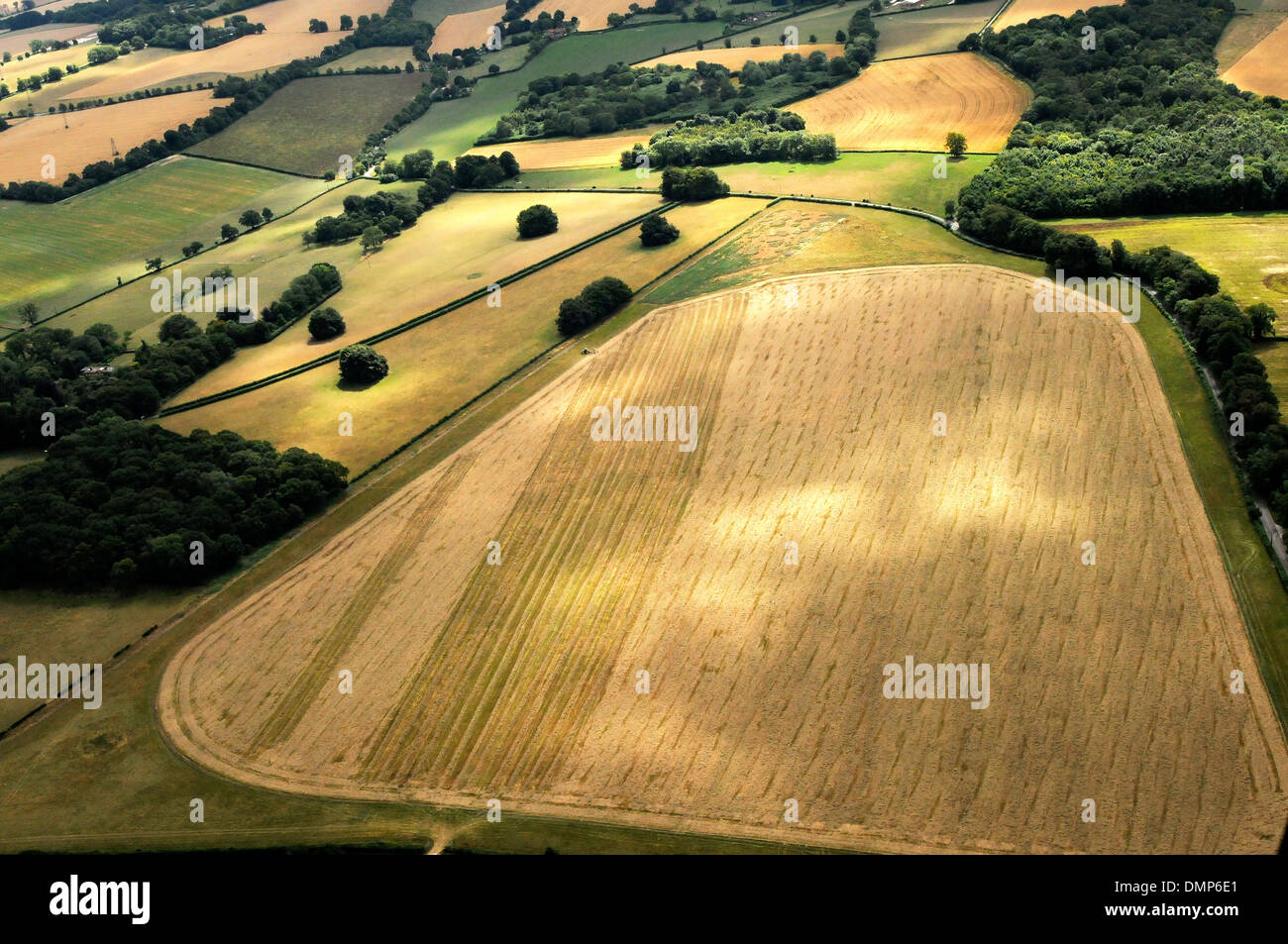 Summer crop fields, Hampshire, Southern England Stock Photo