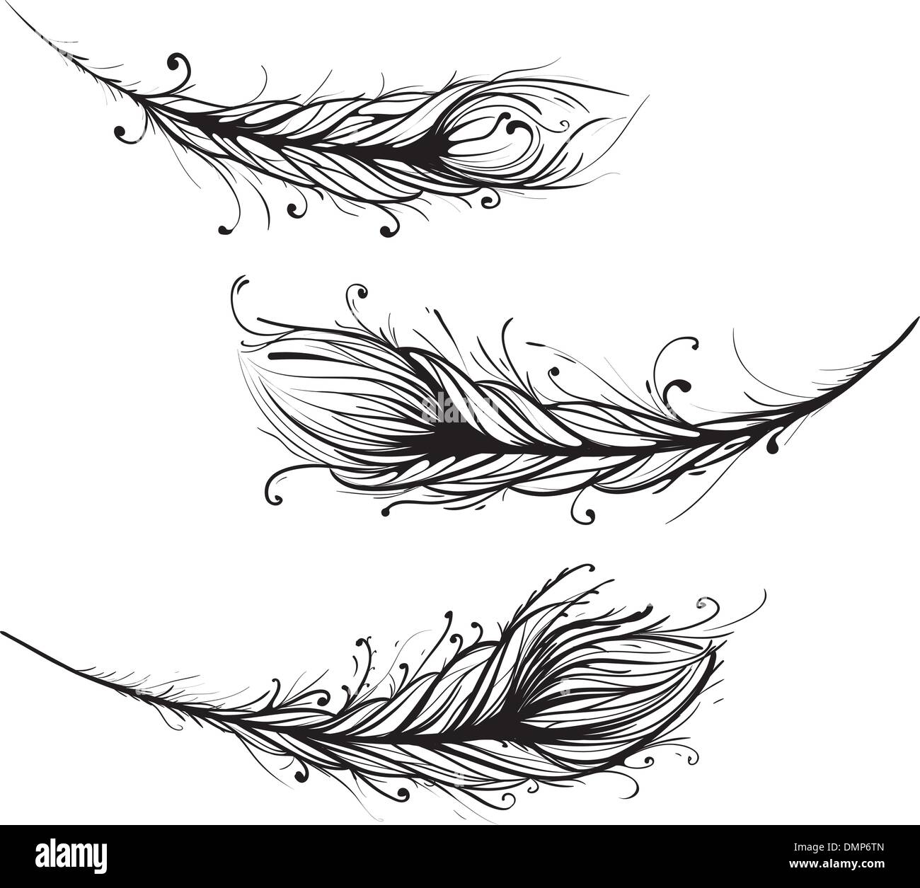 Intricate Decorative Feathers Illustration Stock Vector Image & Art Alamy