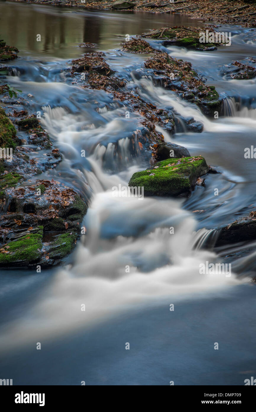 Stream In Forest With Water Flowing Over Rocks With Motion Blur Stock ...