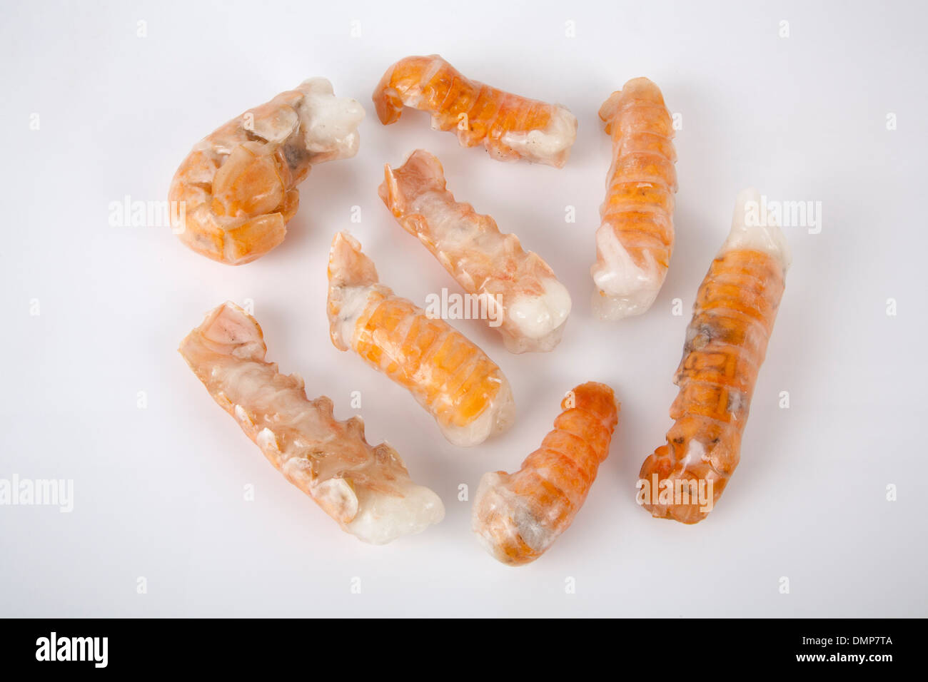 shrimp pack deep freeze eat ice nutrition seafood sea creature commerce
