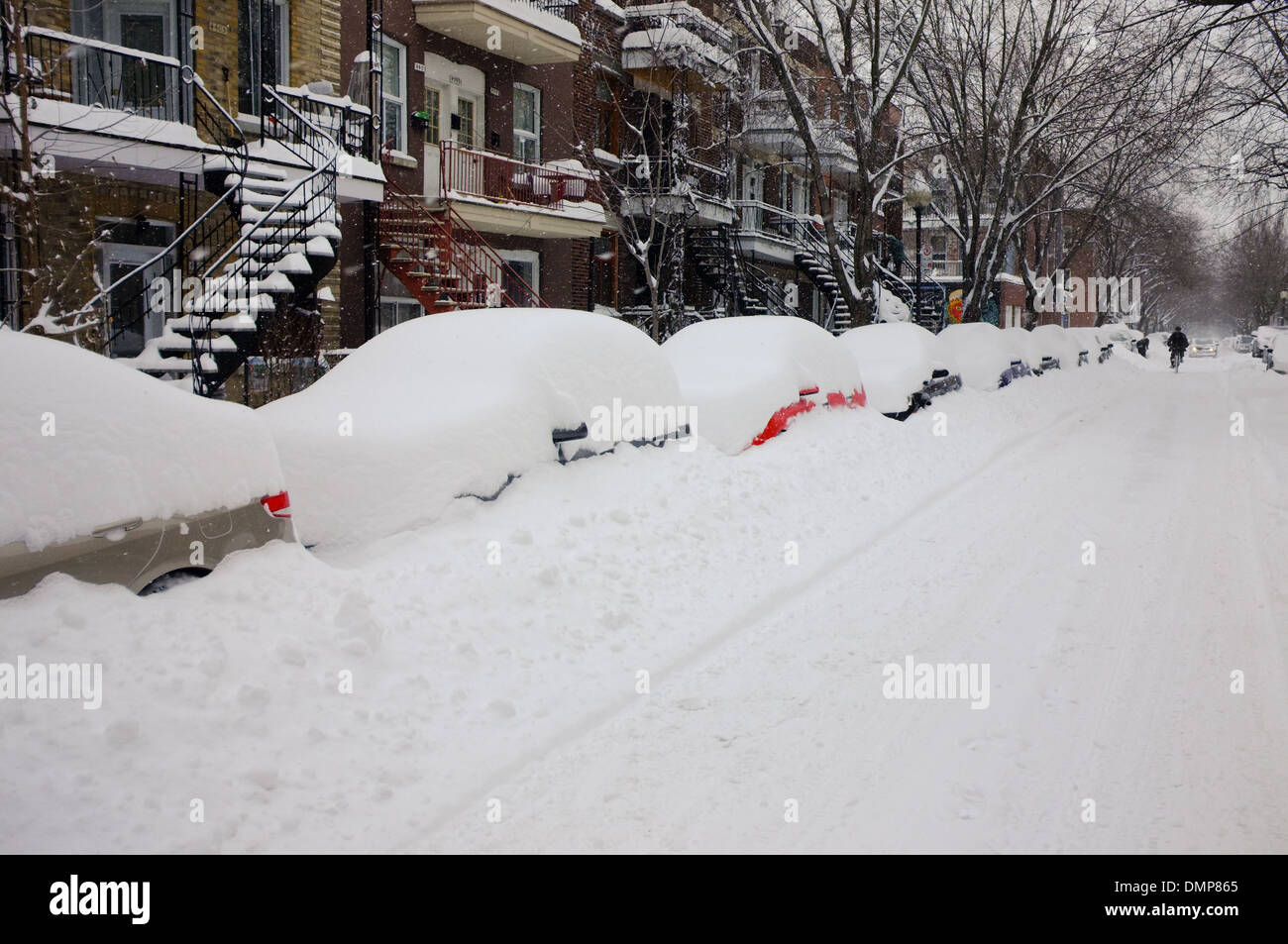 Cars covered in snow in the Plateau of Montreal, Quebec. Stock Photo