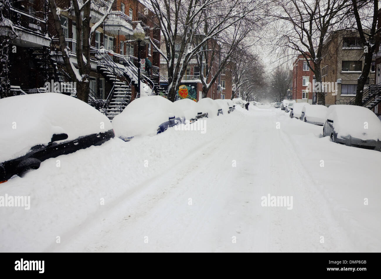 Cars covered in snow in the Plateau of Montreal, Quebec. Stock Photo