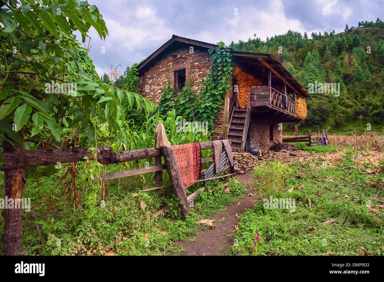 A traditional dry stone walled house with maize drying al fresco, Sangti village, western Arunachal Pradesh, India. Stock Photo