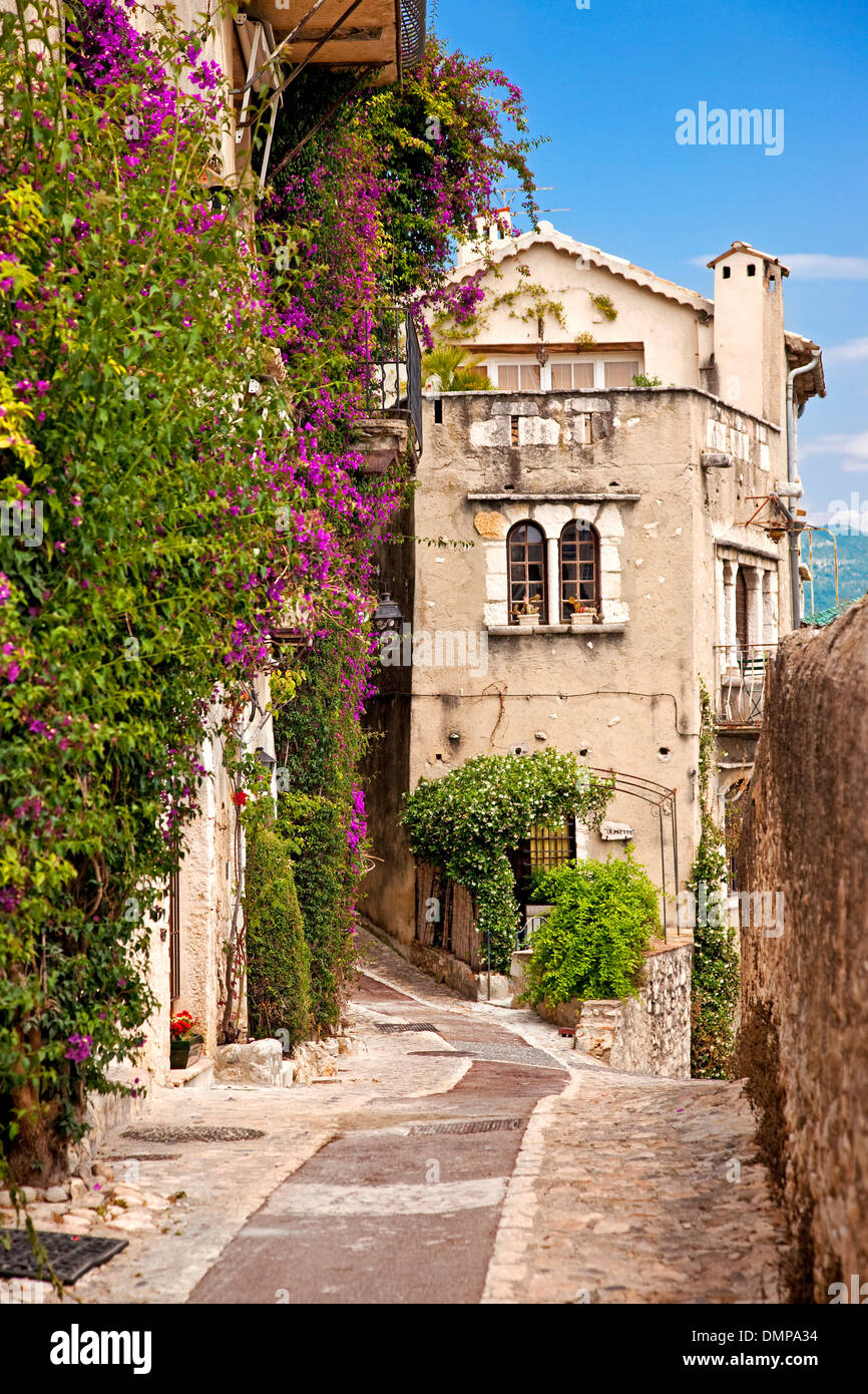 Vine covered homes along ancient street in St. Paul de-Vence, Provence, France Stock Photo