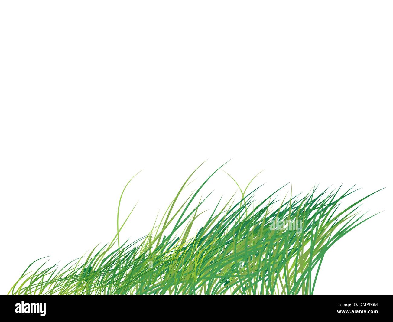 Grass silhouette green, summer background Stock Vector Image & Art - Alamy