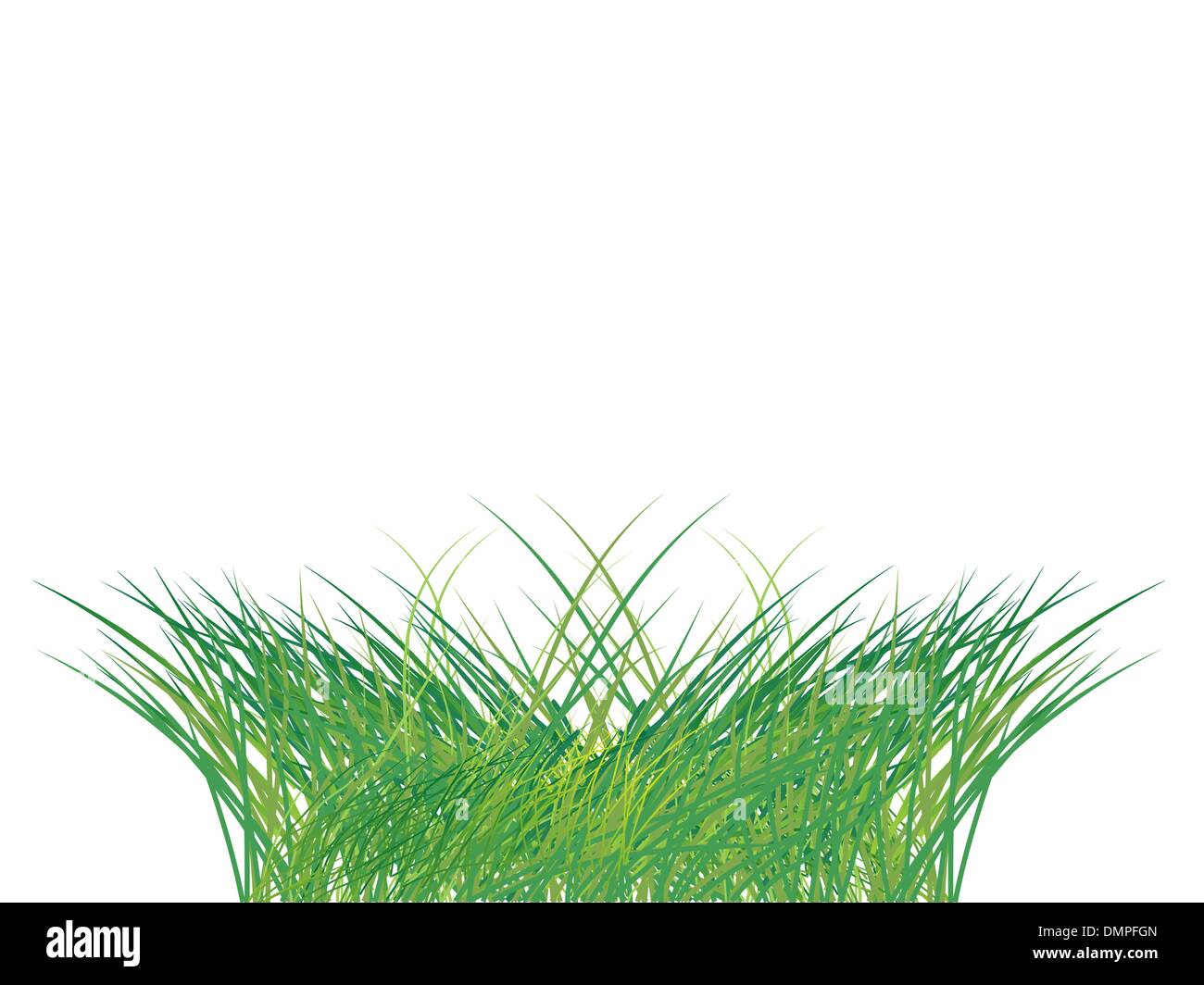 Grass silhouette green, summer background Stock Vector Image & Art - Alamy