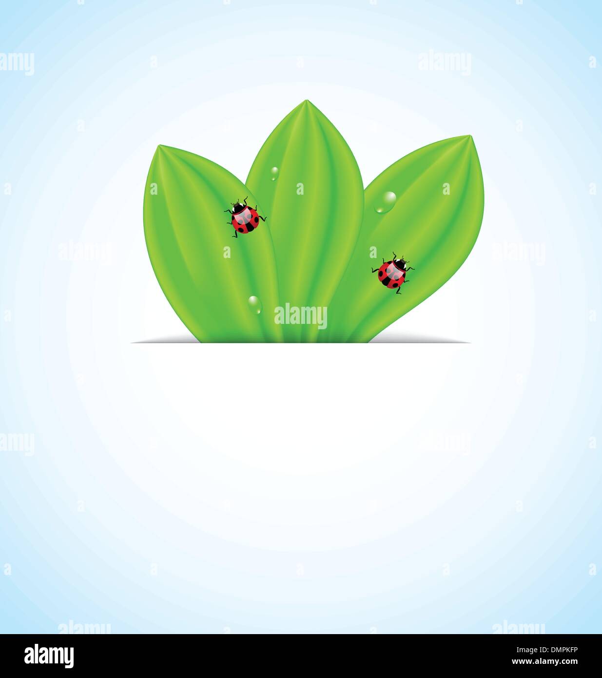 Green leaves ecology fresh background Stock Vector Image & Art - Alamy