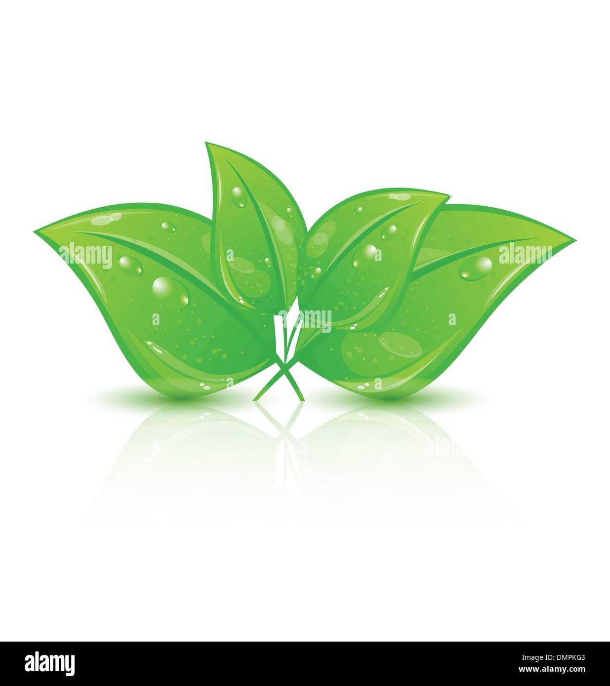 Green eco leaves isolated on white background Stock Vector Image & Art ...