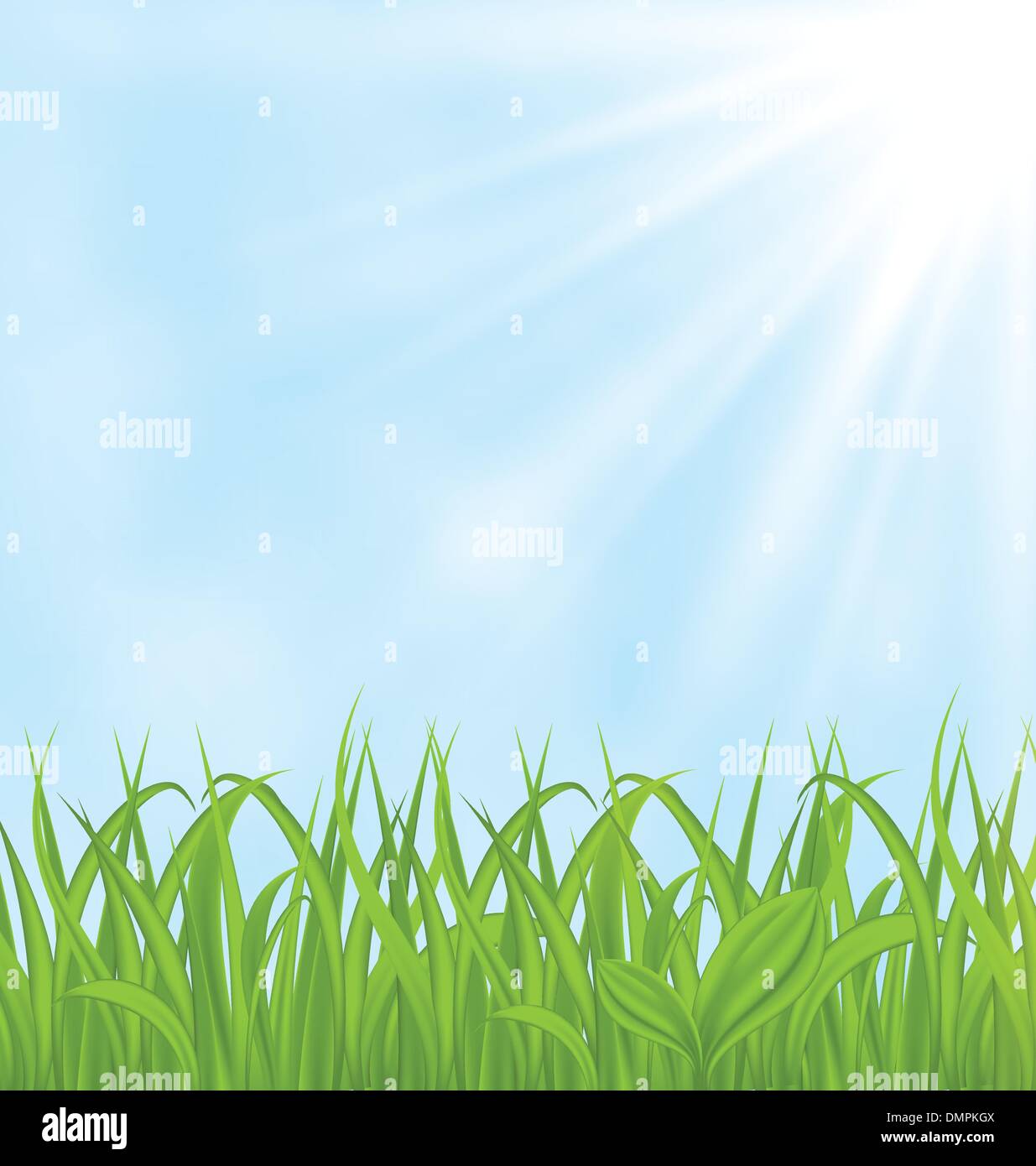 Spring background with green grass Stock Vector Image & Art - Alamy