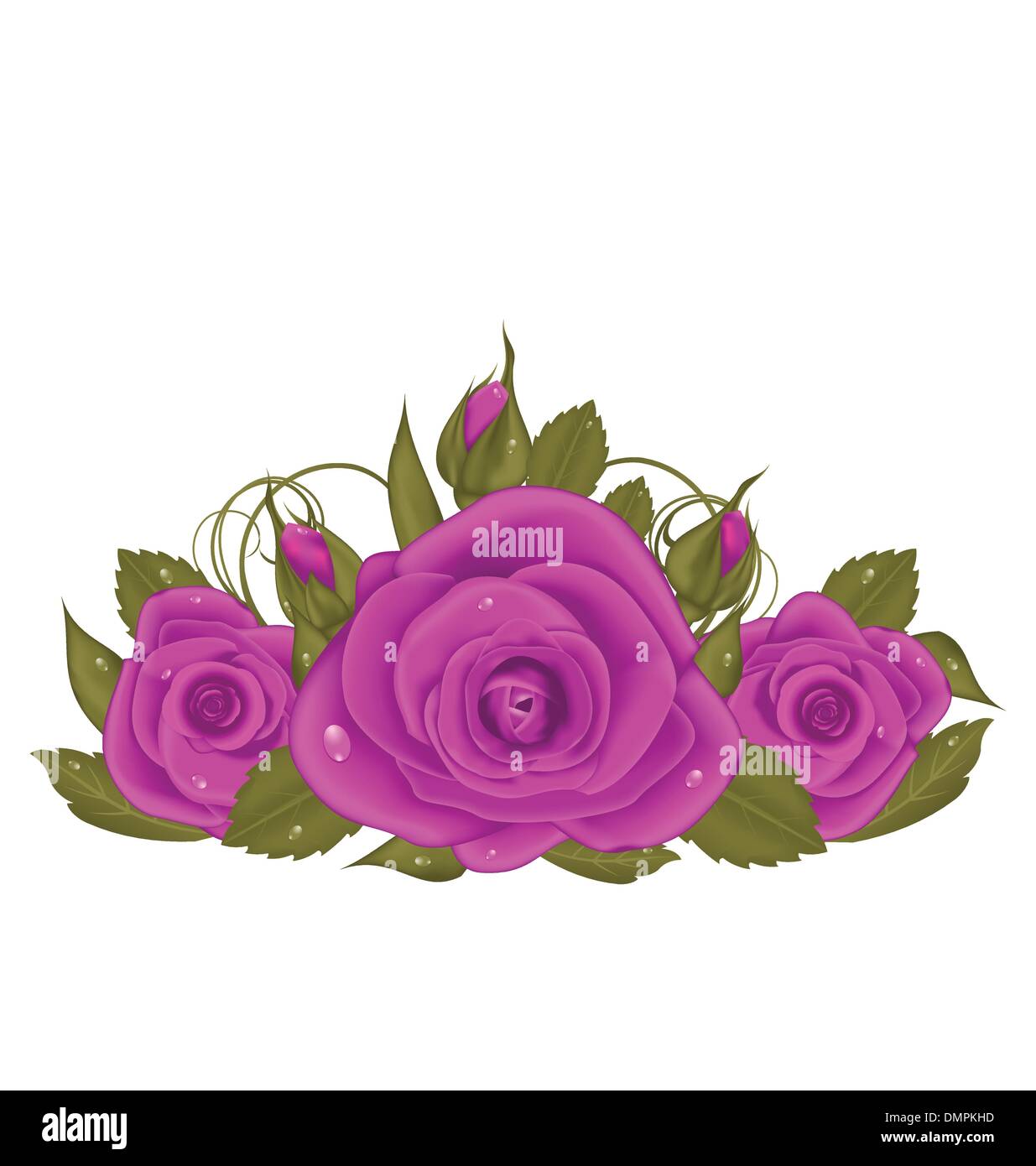 Bouquet beautiful roses isolated on white background Stock Vector Image ...