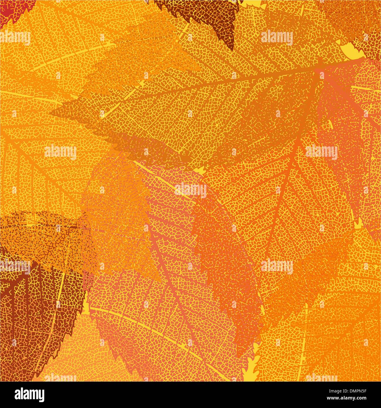 Dry autumn leaves template. EPS 8 Stock Vector Image & Art - Alamy