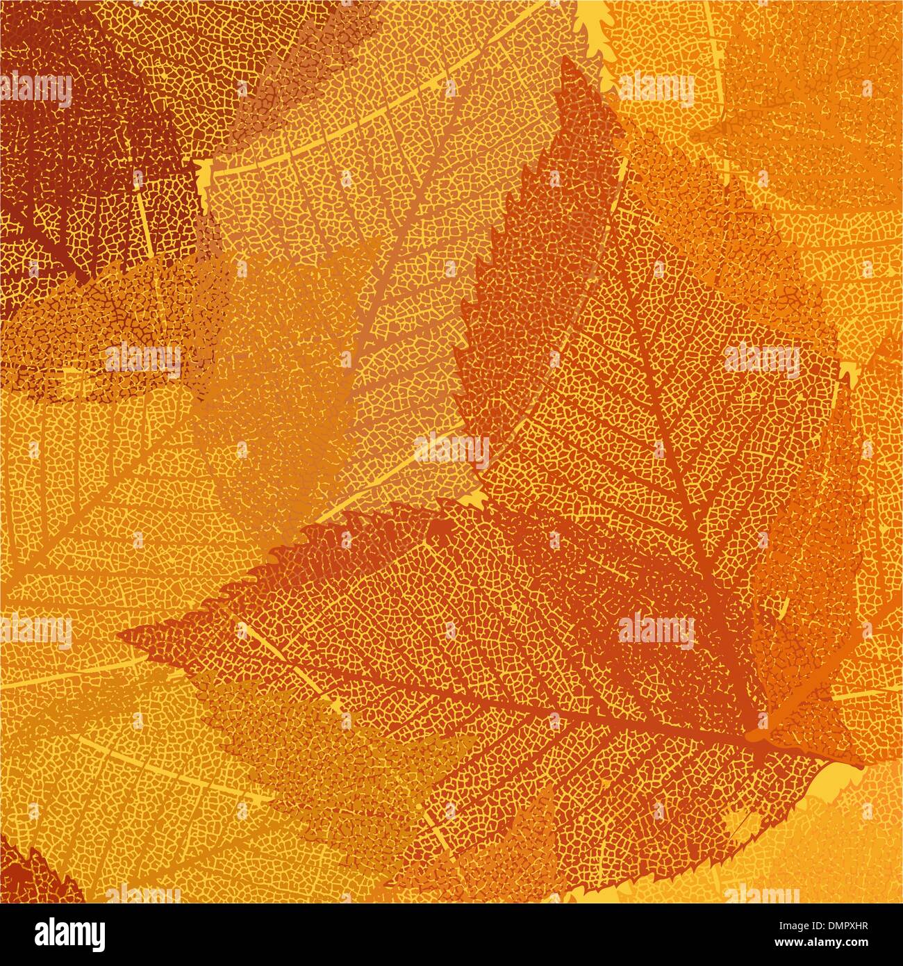 Dry autumn leaves template. EPS 8 Stock Vector Image & Art - Alamy