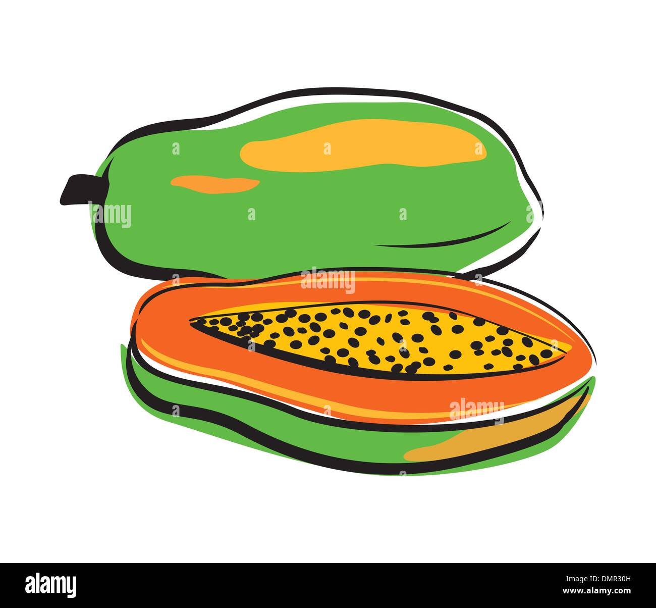 Papaya Drawing High Resolution Stock Photography and Images Alamy