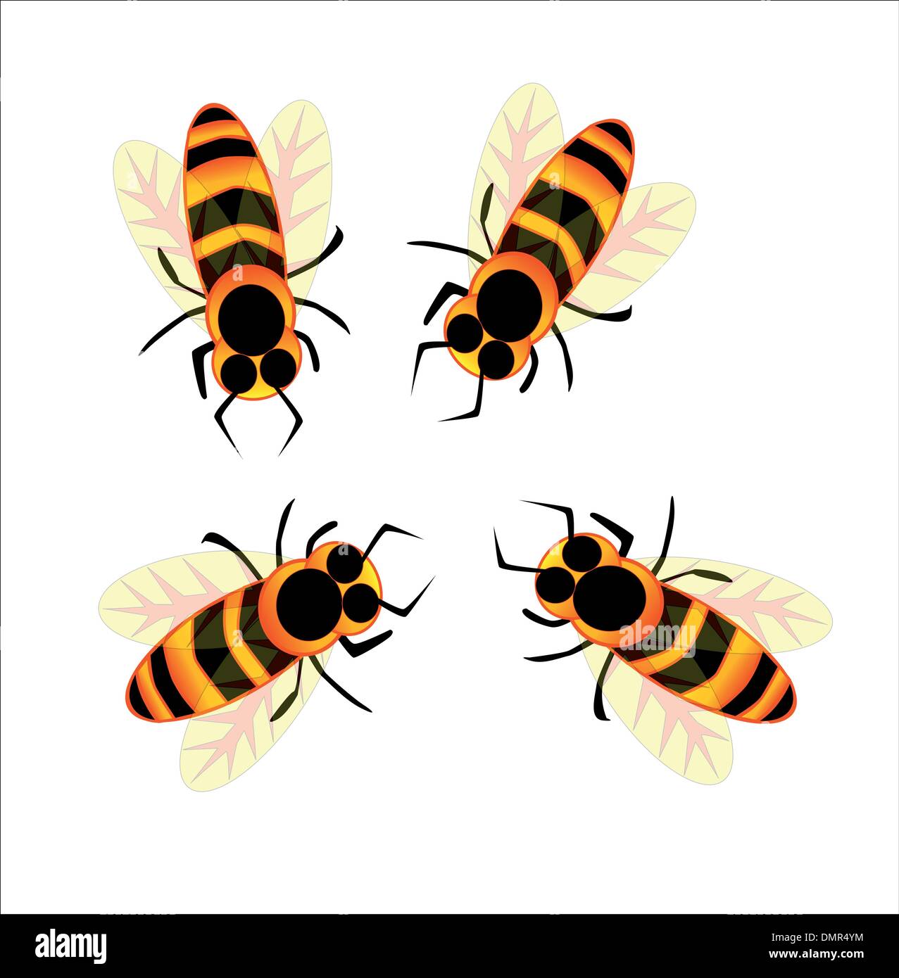 Bees apiformes or anthophila Stock Vector Images - Alamy
