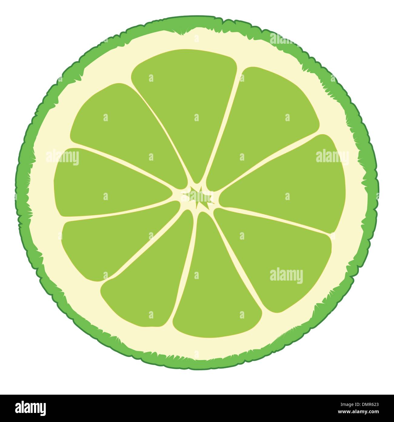 Lime Slice Stock Vector