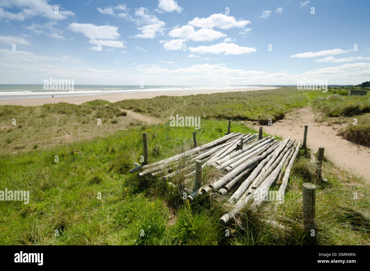 sea shore stack stobs sunny  weathered St Cyrus Stock Photo
