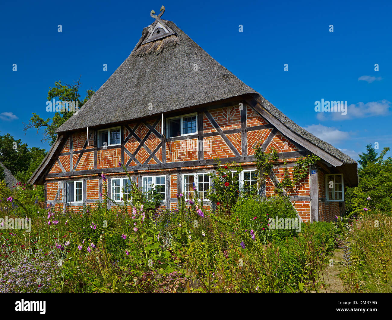 Groß Zecher near Seedorf at Lake Schaalsee, Herzogtum Lauenburg District, Schleswig-Holstein, Germany Stock Photo