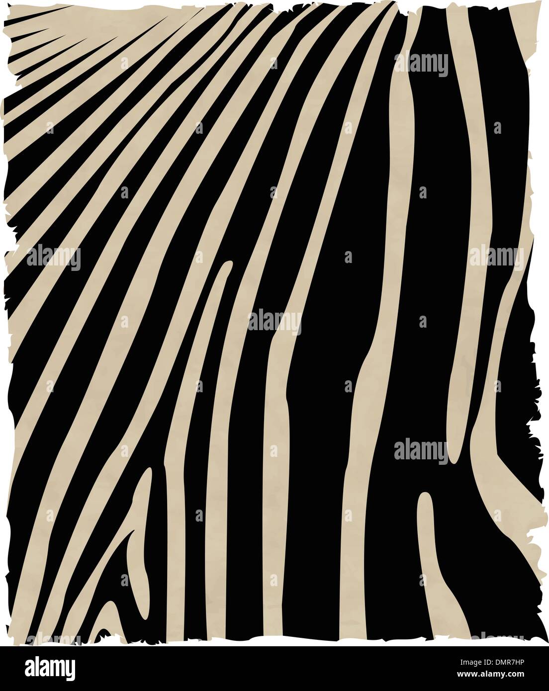 zebra skin Stock Vector