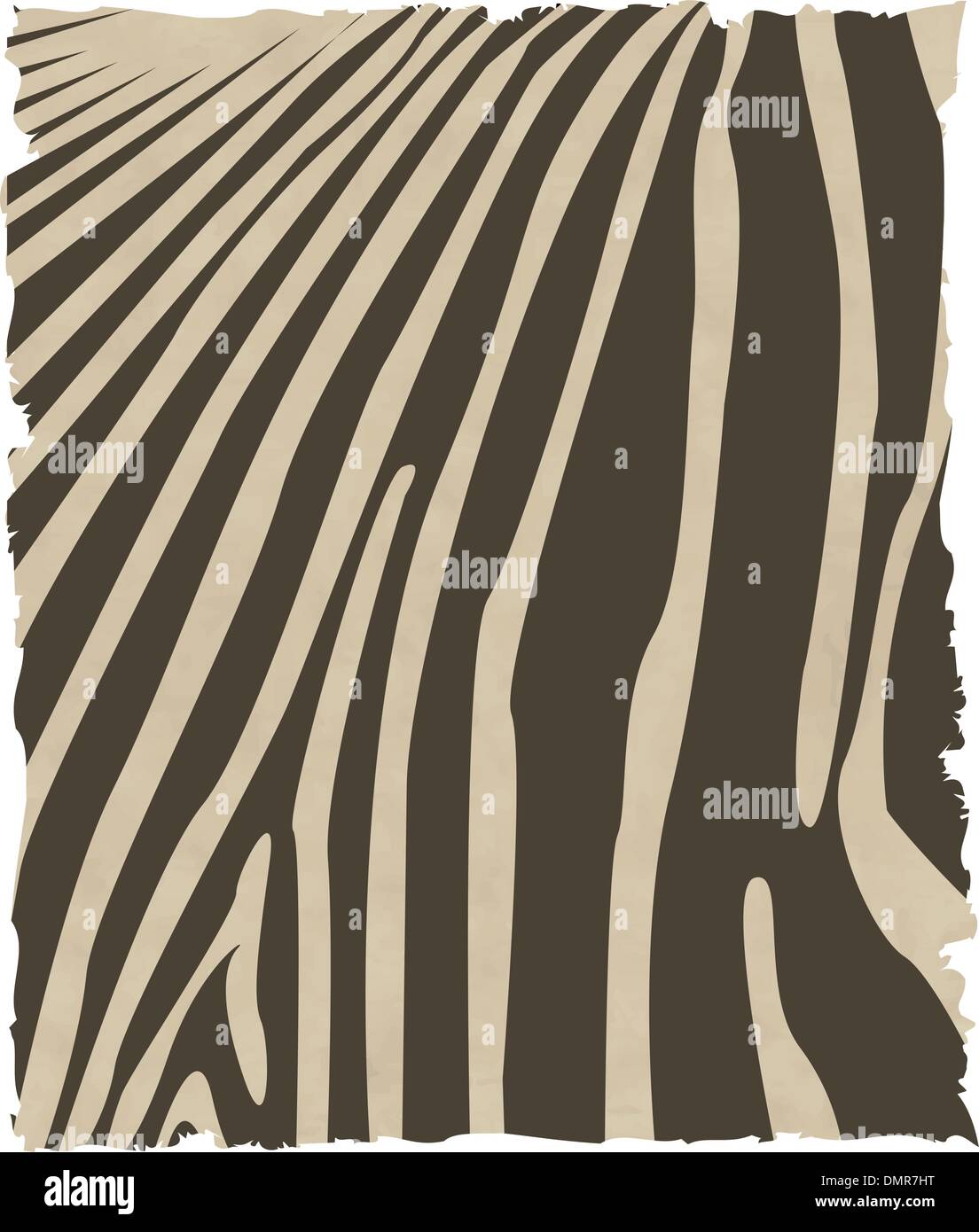 zebra skin Stock Vector