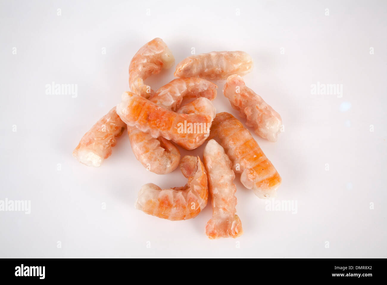 Deep sea shrimp hires stock photography and images Alamy
