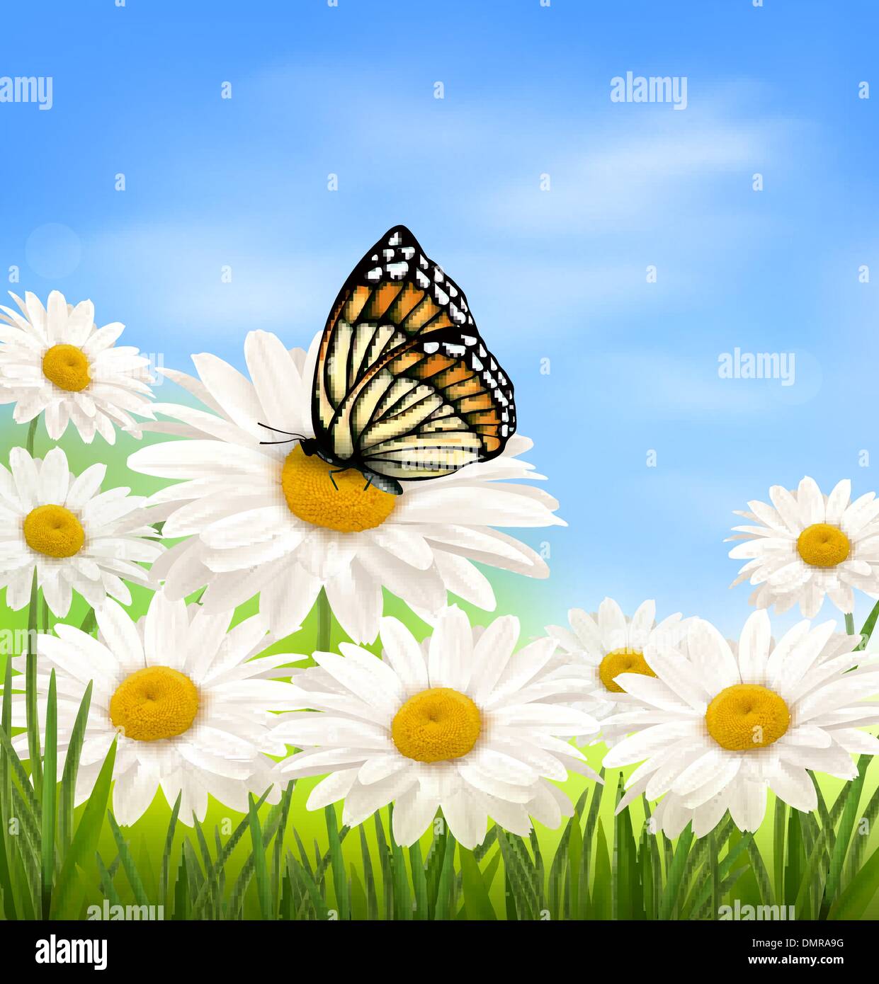 Nature background with summer flowers and butterfly Stock Vector Image ...