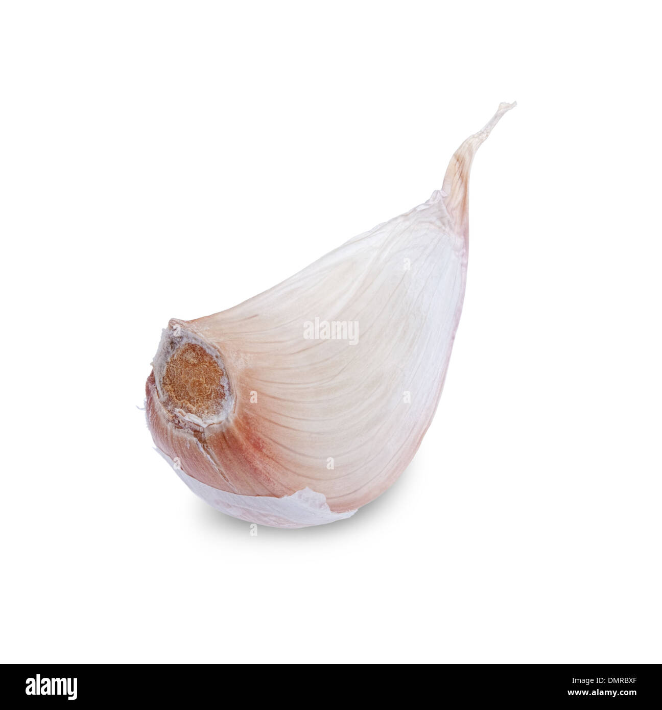 clove of garlic isolated on white background Stock Photo - Alamy