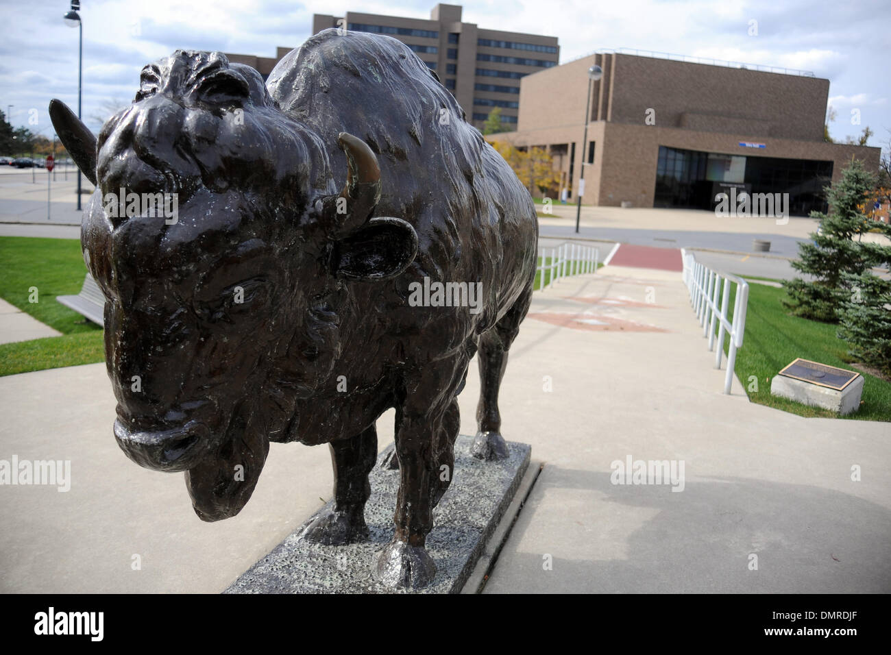 A bronze bull decorates the campus in the middle of Coventry Loop on