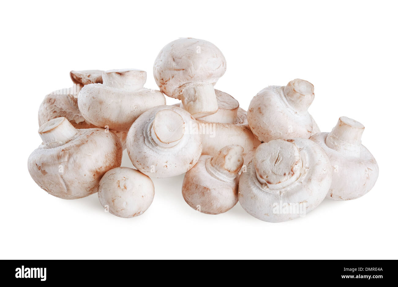 white fresh mushrooms isolated on white background Stock Photo