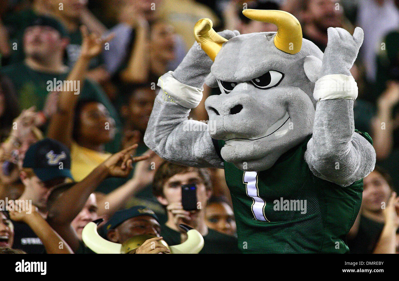 South Florida fans celebrate with their team mascot, Rocky the Bull ...