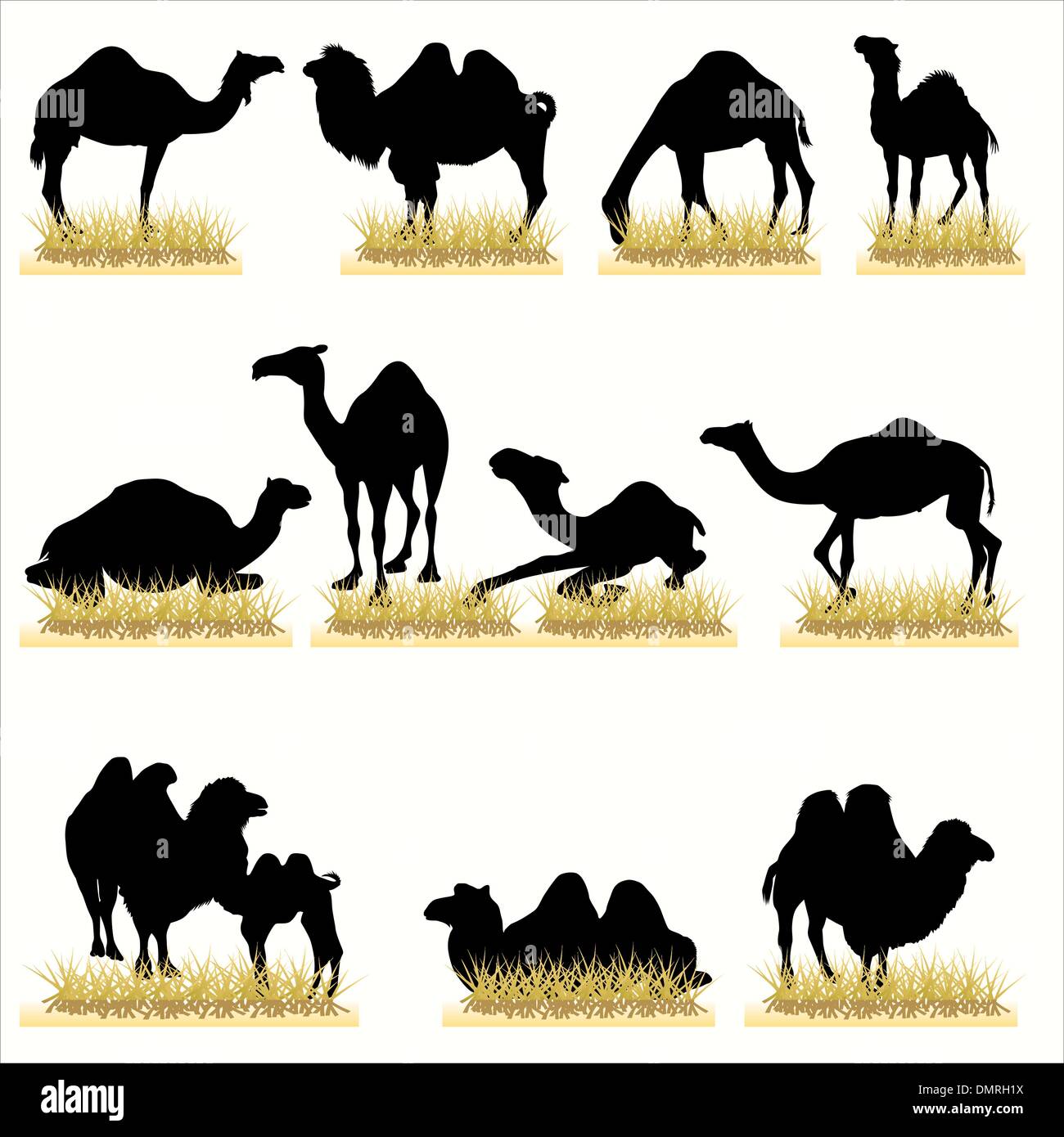 Camels silhouettes set Stock Vector