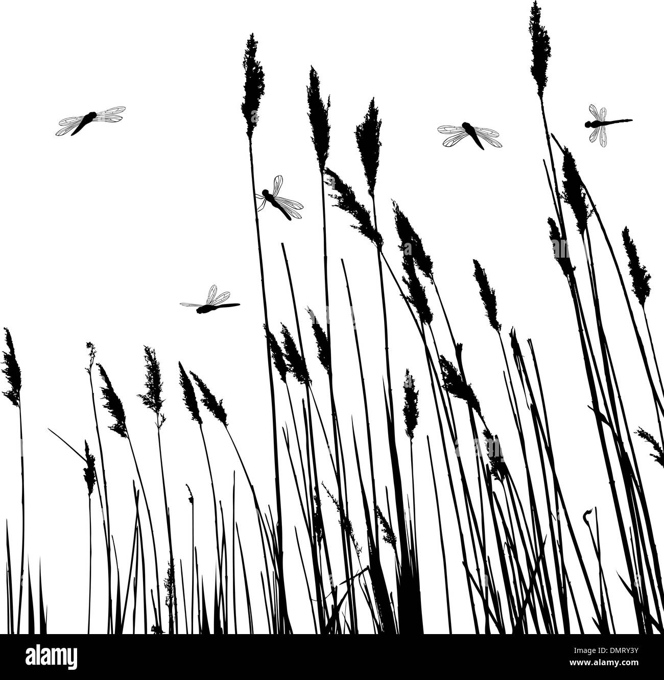 Real grass silhouette and  few dragonflies  - vector Stock Vector