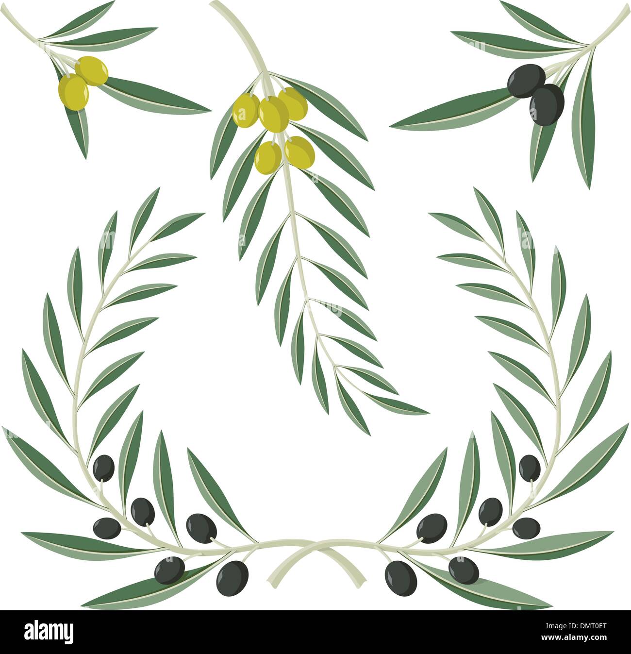 Olive branches Stock Vector