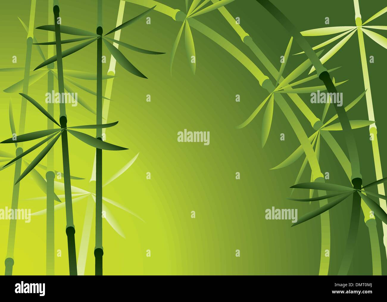 Bamboo forest summer Stock Vector Images - Alamy