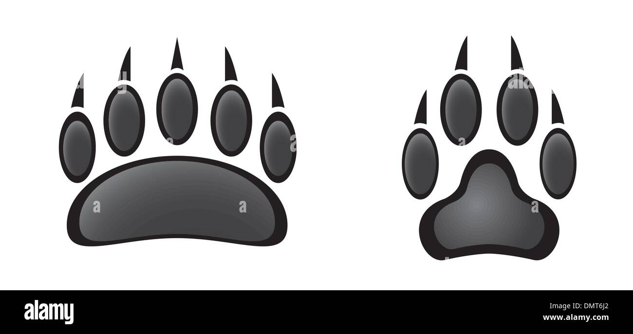 Paw prints hires stock photography and images Alamy