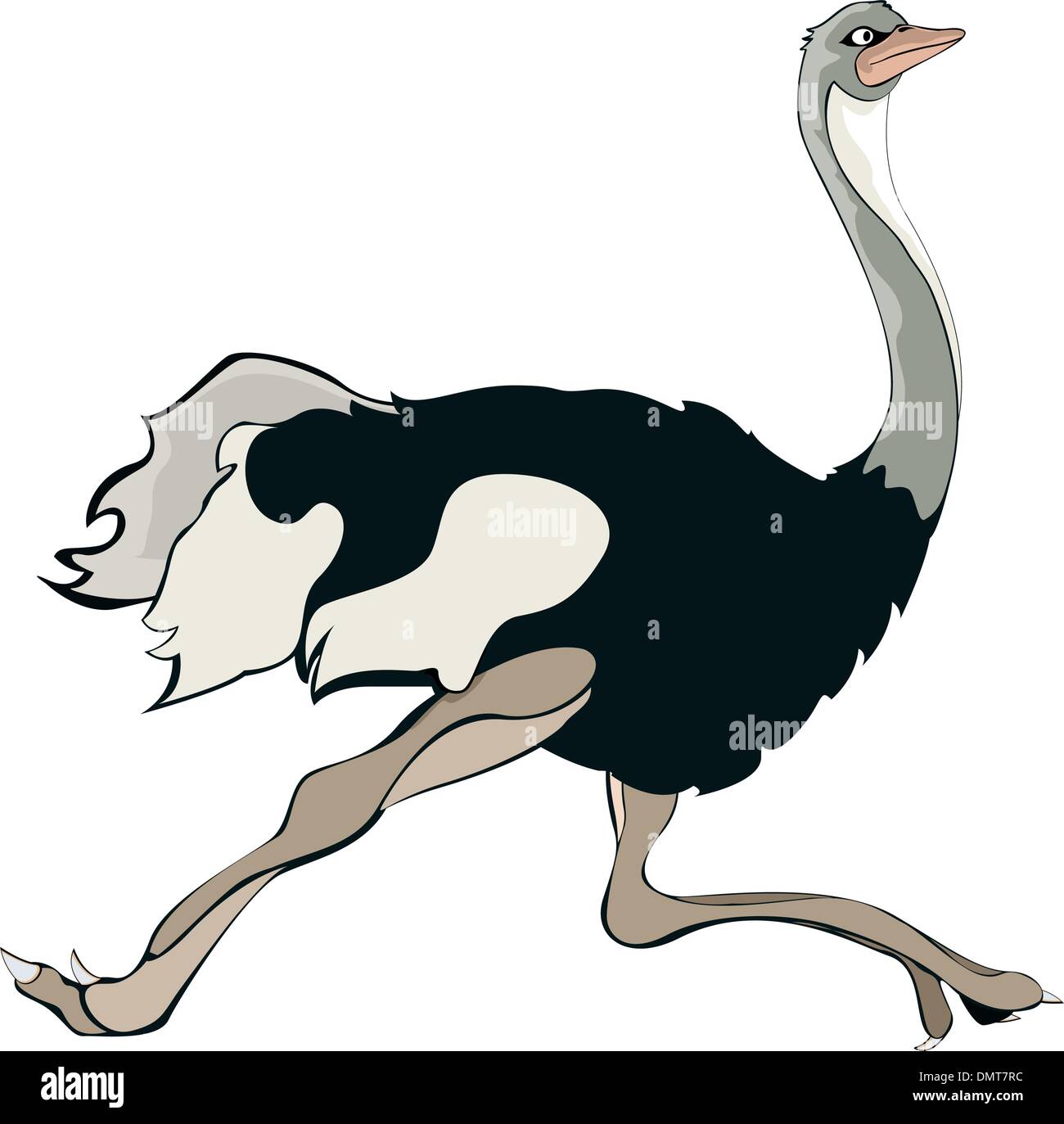 A running ostrich Stock Vector