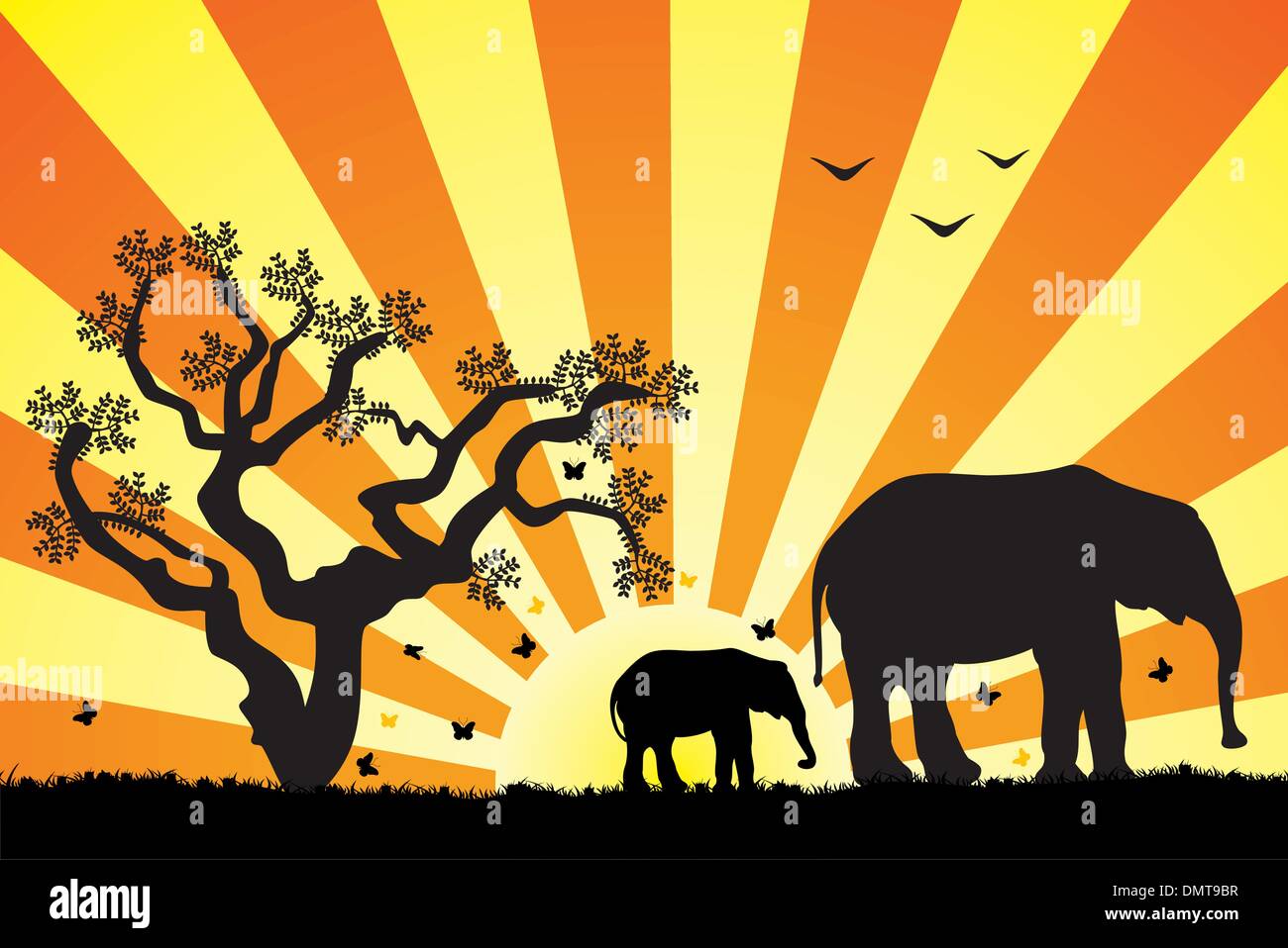 elephants in africa Stock Vector