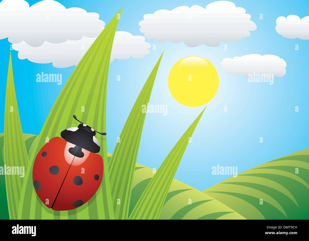 ladybird on the leaf Stock Vector Image & Art - Alamy